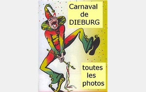 Carnaval de Dieburg 2013